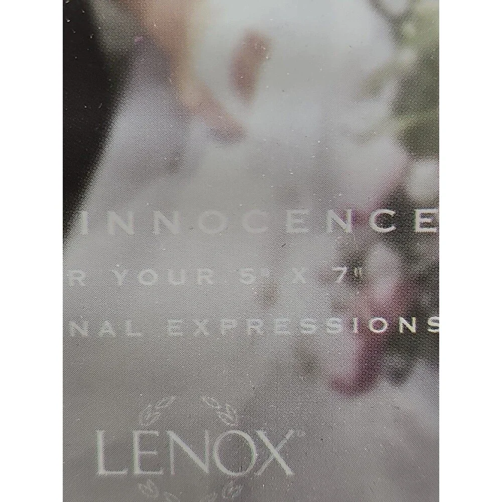 Lenox Opal Innocence Metal Floral Vine Photo Frame, Two 5